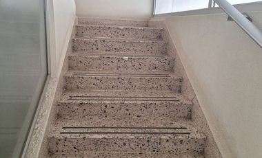 Edificio en renta en Pino Suárez Toluca