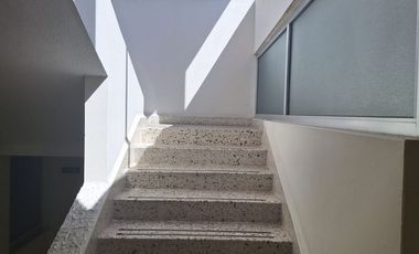 Edificio en renta en Pino Suárez Toluca