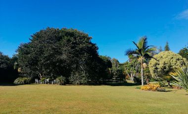 45067 Casa Amoblada en arriendo en el sector La Ceja