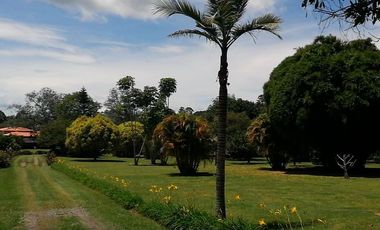 45067 Casa Amoblada en arriendo en el sector La Ceja