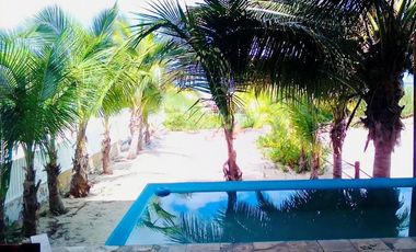 Casa Palmeras en San Bruno