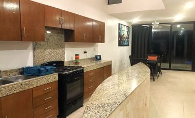 Casa Palmeras en San Bruno