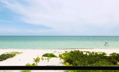 Casa Palmeras en San Bruno