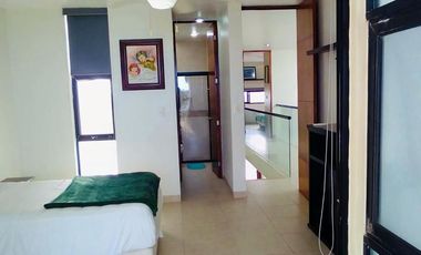 Casa Palmeras en San Bruno