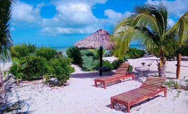 Casa Palmeras en San Bruno