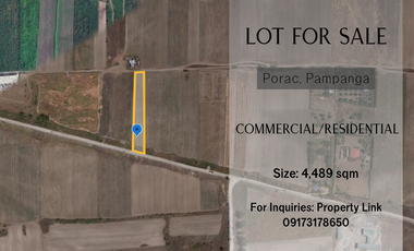 Lot for Commercial/Residential/Industrial for sale in Porac Pampanga