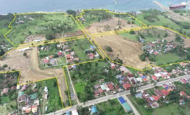 Industrial Lot for Sale in Balamban Cebu ideal for factories, shipyard, assembly, warehousing or any industrial setup