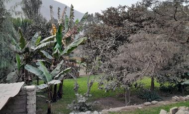VENTA DE TERRENO CHOSICA CASAHUERTA LA RONDA