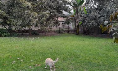 VENTA DE TERRENO CHOSICA CASAHUERTA LA RONDA