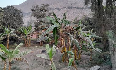 VENTA DE TERRENO CHOSICA CASAHUERTA LA RONDA