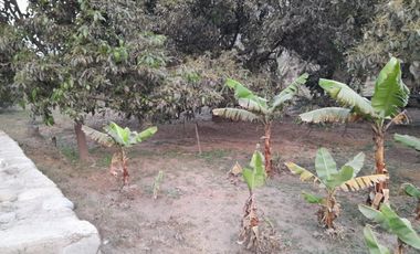 VENTA DE TERRENO CHOSICA CASAHUERTA LA RONDA