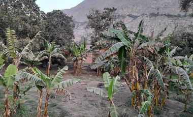 VENTA DE TERRENO CHOSICA CASAHUERTA LA RONDA