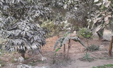 VENTA DE TERRENO CHOSICA CASAHUERTA LA RONDA