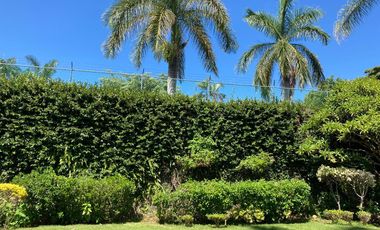 CASA EN RENTA COL PALMIRA CUERNAVACA MORELOS. UN LUGAR MUY TRANQUILO