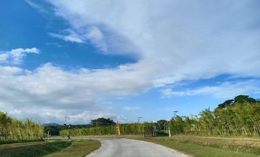 Beach Lot in Batangas for Sale