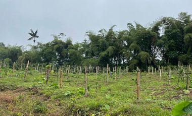 Finca de venta en San Miguel de los Bancos