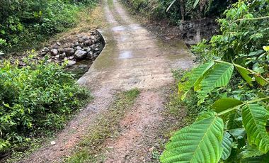 Finca de venta en San Miguel de los Bancos