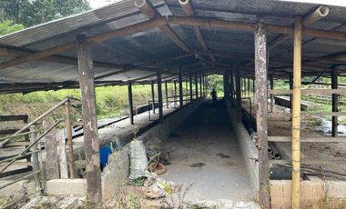Finca de venta en San Miguel de los Bancos