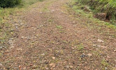 Finca de venta en San Miguel de los Bancos