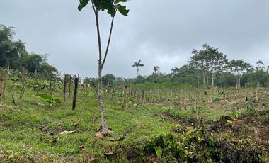 Finca de venta en San Miguel de los Bancos