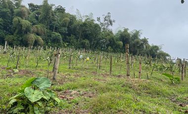 Finca de venta en San Miguel de los Bancos