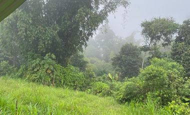 Finca de venta en San Miguel de los Bancos