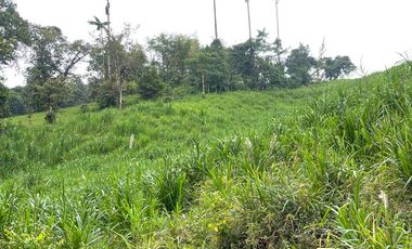 Finca de venta en San Miguel de los Bancos
