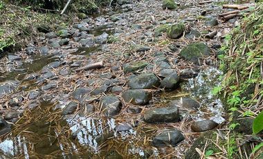 Finca de venta en San Miguel de los Bancos