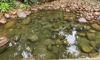Finca de venta en San Miguel de los Bancos