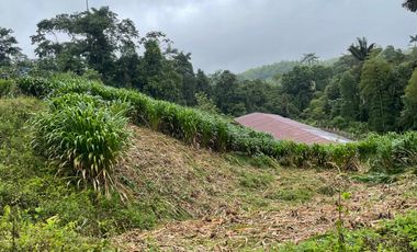 Finca de venta en San Miguel de los Bancos