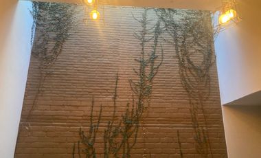 CASA HABITACIÓN PARA USO COMECIAL EN EL CENTRO DE CIUDAD GUZMAN JALISCO