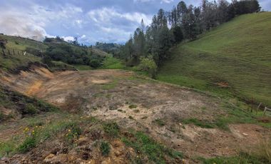 SE VENDEN LOTES EN LA VIA SAN VICENTE DE FERRER SECTOR CHAPARRAL