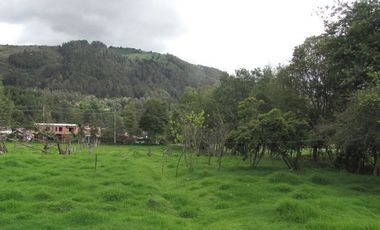 Via Chia a Tenjo, Vereda Fonqueta, c.v.1245
