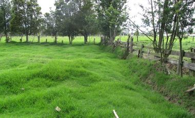 Via Chia a Tenjo, Vereda Fonqueta, c.v.1245
