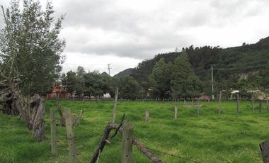 Via Chia a Tenjo, Vereda Fonqueta, c.v.1245