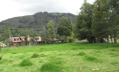 Via Chia a Tenjo, Vereda Fonqueta, c.v.1245