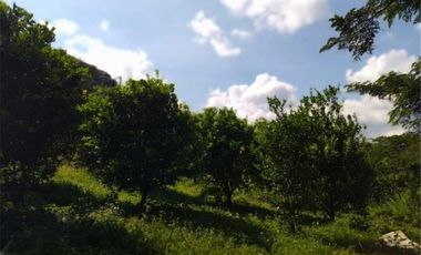 Venta - La Mesa, finca con Local Comercial sonre via San Joaquín