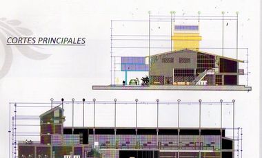 Amplio Establecimiento con Terreno