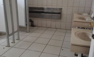 Amplio Establecimiento con Terreno