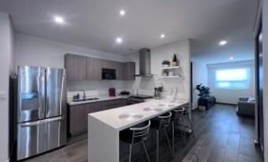 Departamento amueblado con sala de TV y 2 recamaras - Centro Sur, RENTA