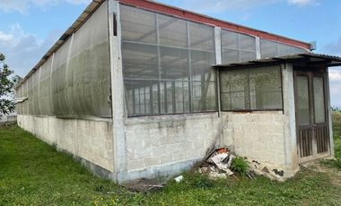 Propiedad con Casa principal, Casa de Trabajadores y amplia extensión de Terreno. A 12 mins de plaza americas, para donde crece xalapa, entre el chico
