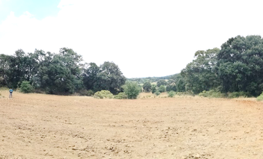 SE VENDEN LOTES DE TERRENOS TIPO CAMPESTRE