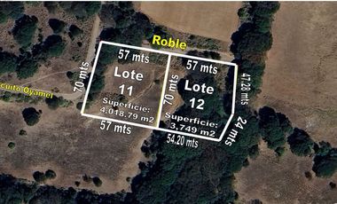 SE VENDEN LOTES DE TERRENOS TIPO CAMPESTRE