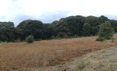 SE VENDEN LOTES DE TERRENOS TIPO CAMPESTRE