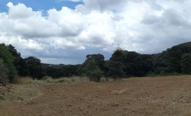 SE VENDEN LOTES DE TERRENOS TIPO CAMPESTRE