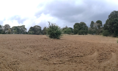 SE VENDEN LOTES DE TERRENOS TIPO CAMPESTRE