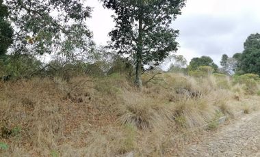 SE VENDEN LOTES DE TERRENOS TIPO CAMPESTRE
