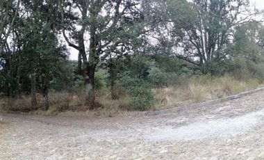 SE VENDEN LOTES DE TERRENOS TIPO CAMPESTRE