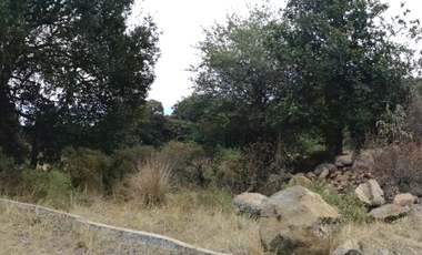SE VENDEN LOTES DE TERRENOS TIPO CAMPESTRE