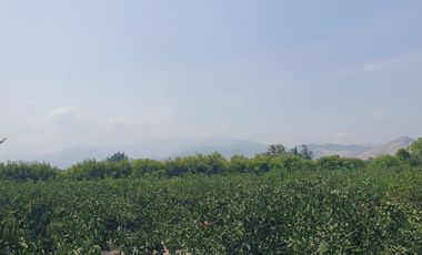 VENDO TERRENO AGRICOLA A 13 minutos del centro de Huaral y 35m del MegaPuerto de Chancay